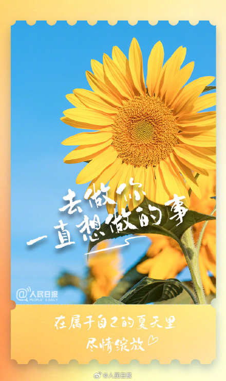 治愈！这些小事解锁夏日仪式感