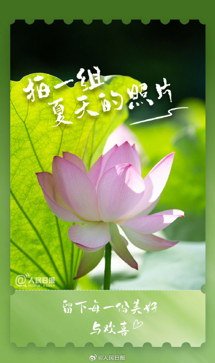 治愈！这些小事解锁夏日仪式感