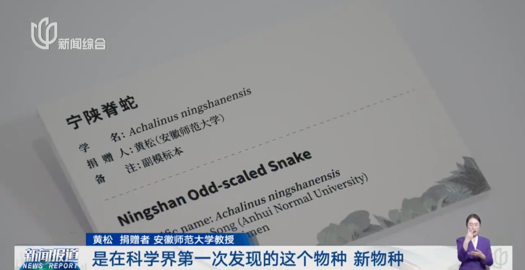 上海科技馆:向海内外公开征集!有人送来陨石、新物种标本… 上海科技馆:向海内外公开征集!有人送来陨石、新物种标本…
