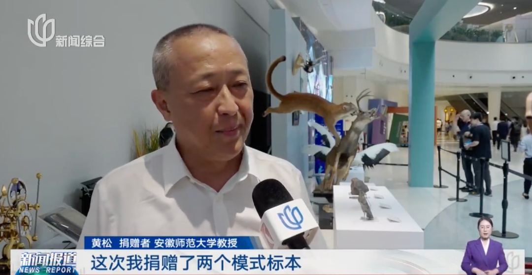 上海科技馆:向海内外公开征集!有人送来陨石、新物种标本… 上海科技馆:向海内外公开征集!有人送来陨石、新物种标本…