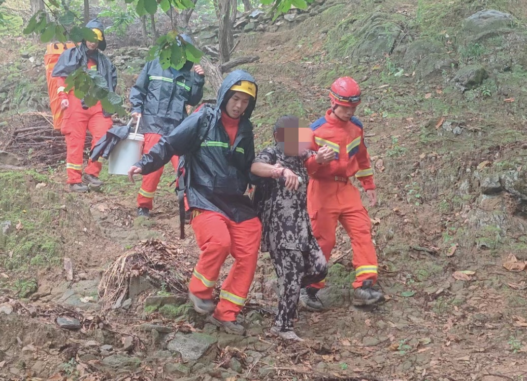 采菇之旅变险境,深山突遭野蜂袭!怀柔消防冒雨救援 采菇之旅变险境,深山突遭野蜂袭!怀柔消防冒雨救援
