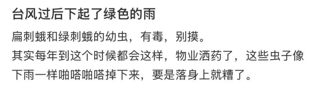 含刺激汁液,碰到就蛰痛红肿,疼到怀疑人生…小心!这虫子北京也常见 含刺激汁液,碰到就蛰痛红肿,疼到怀疑人生…小心!这虫子北京也常见