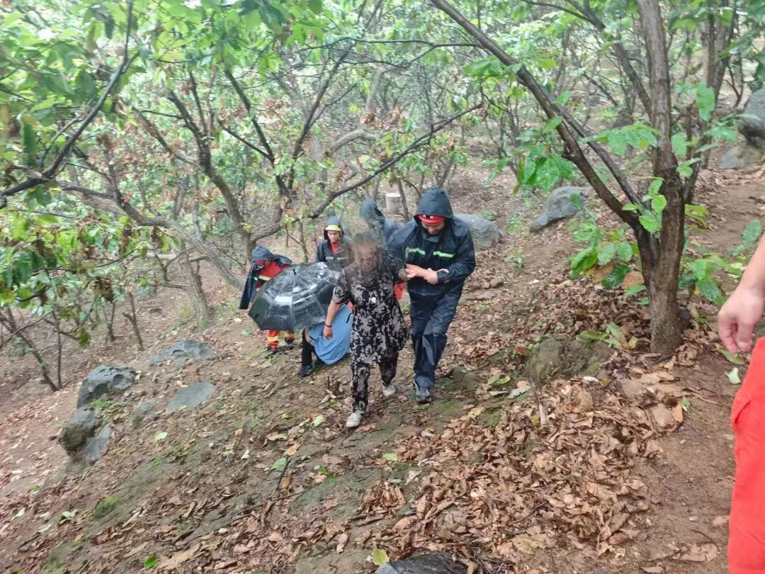 姐妹北京野山里采蘑菇,突遭野蜂袭击!消防提醒—— 姐妹北京野山里采蘑菇,突遭野蜂袭击!消防提醒——