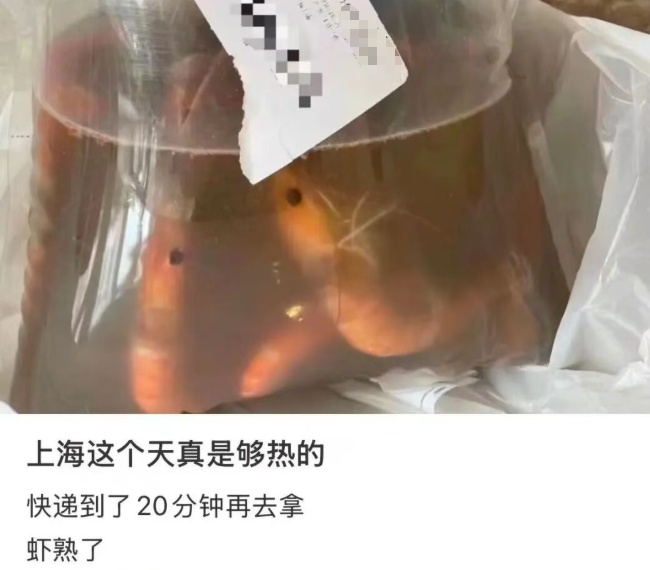 最高35℃,广州即将重返高温天,但在高温群聊还没有发言权:杭州西湖的松鼠热到“跳脚”,成都女子买活虾放水池,2小时虾被活活“热熟” 最高35℃,广州即将重返高温天,但在高温群聊还没有发言权:杭州西湖的松鼠热到“跳脚”,成都女子买活虾放水池,2小时虾被活活“热熟”