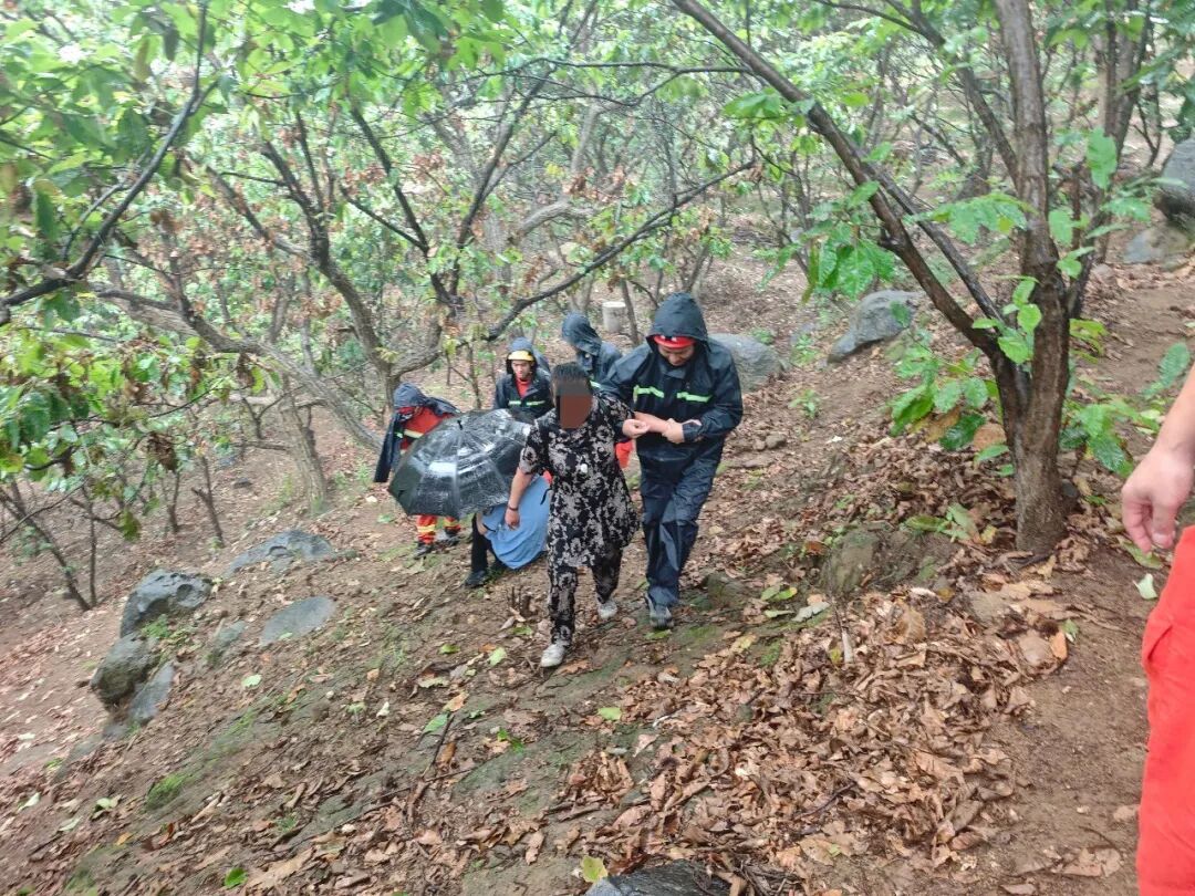 采菇之旅变险境,深山突遭野蜂袭!怀柔消防冒雨救援 采菇之旅变险境,深山突遭野蜂袭!怀柔消防冒雨救援