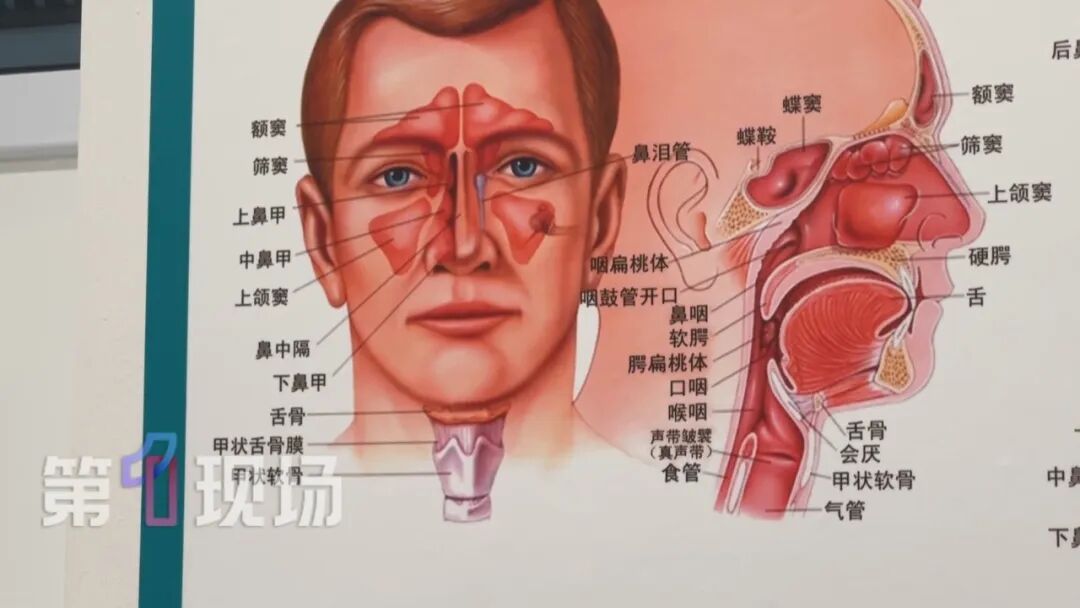 9岁女童一个动作面部流脓,差点毁容!很多人不自觉会做,紧急提醒:严重可致命 9岁女童一个动作面部流脓,差点毁容!很多人不自觉会做,紧急提醒:严重可致命