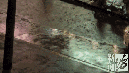 大雨浇灭上海连续高温 下周五前后上海高温重返 大雨浇灭上海连续高温 下周五前后上海高温重返