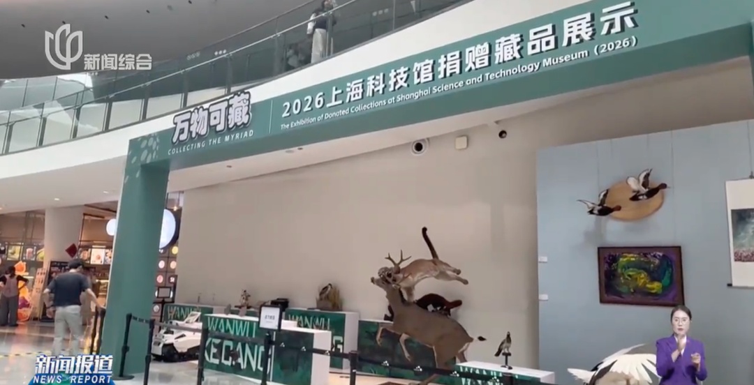 上海科技馆:向海内外公开征集!有人送来陨石、新物种标本… 上海科技馆:向海内外公开征集!有人送来陨石、新物种标本…