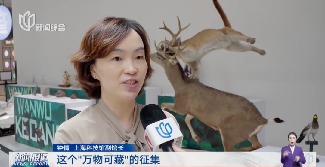 上海科技馆:向海内外公开征集!有人送来陨石、新物种标本… 上海科技馆:向海内外公开征集!有人送来陨石、新物种标本…
