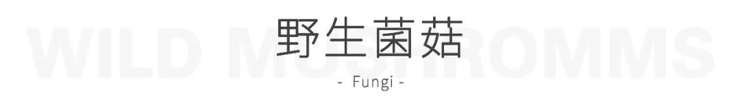 “红伞伞,白杆杆,害人的毒蘑菇你可别馋馋!” “红伞伞,白杆杆,害人的毒蘑菇你可别馋馋!”