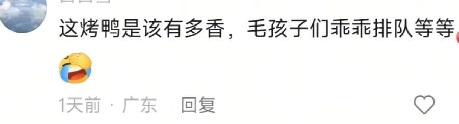 一烤鸭店每天第一波客人竟是汪汪队!5只小狗自觉排队等投喂 一烤鸭店每天第一波客人竟是汪汪队!5只小狗自觉排队等投喂