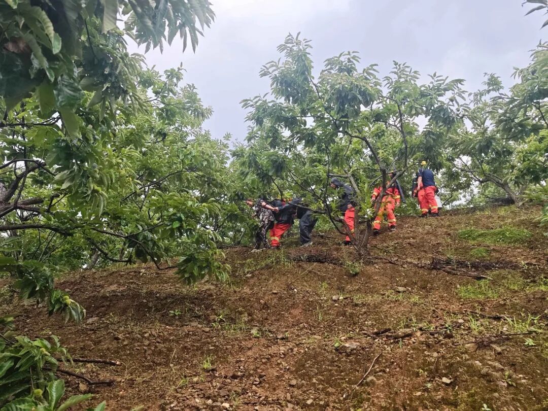 采菇之旅变险境,深山突遭野蜂袭!怀柔消防冒雨救援 采菇之旅变险境,深山突遭野蜂袭!怀柔消防冒雨救援