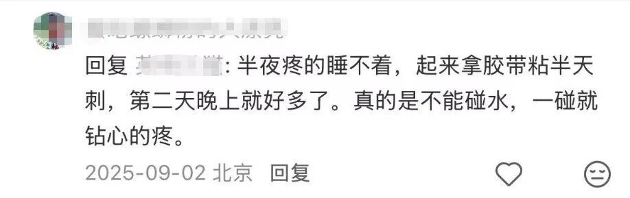 含刺激汁液,碰到就蛰痛红肿,疼到怀疑人生…小心!这虫子北京也常见 含刺激汁液,碰到就蛰痛红肿,疼到怀疑人生…小心!这虫子北京也常见