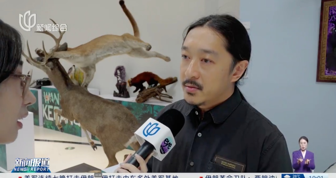 上海科技馆:向海内外公开征集!有人送来陨石、新物种标本… 上海科技馆:向海内外公开征集!有人送来陨石、新物种标本…