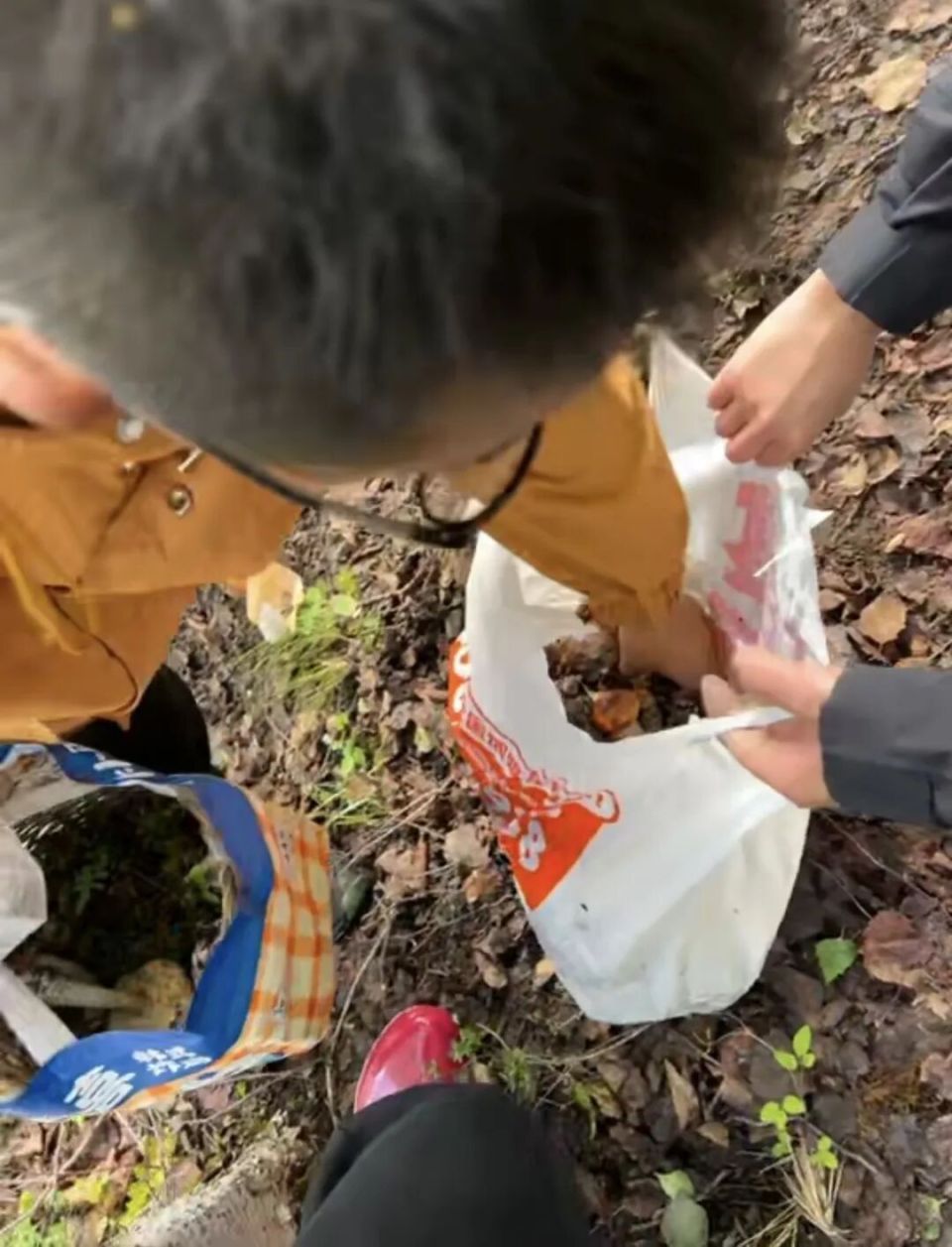 情侣到四川体验采菌子,采10余斤被本地小孩哥扔到只剩2斤,当事人:他丢的时候好潇洒,感觉AI不能信,还是本地人靠谱 情侣到四川体验采菌子,采10余斤被本地小孩哥扔到只剩2斤,当事人:他丢的时候好潇洒,感觉AI不能信,还是本地人靠谱