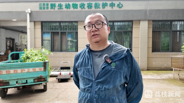 跨城接力!为了守护东方白鹳重返自然 跨城接力!为了守护东方白鹳重返自然
