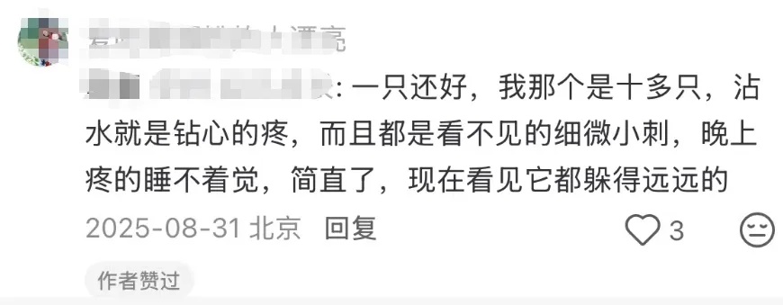 有毒!这种虫子近期频现,北京也有!“被叮一口痛到怀疑人生”医生紧急提醒→ 有毒!这种虫子近期频现,北京也有!“被叮一口痛到怀疑人生”医生紧急提醒→