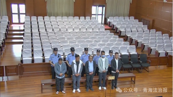 青海5人盗掘“龙骨”获利99740元!法院公开审理 青海5人盗掘“龙骨”获利99740元!法院公开审理