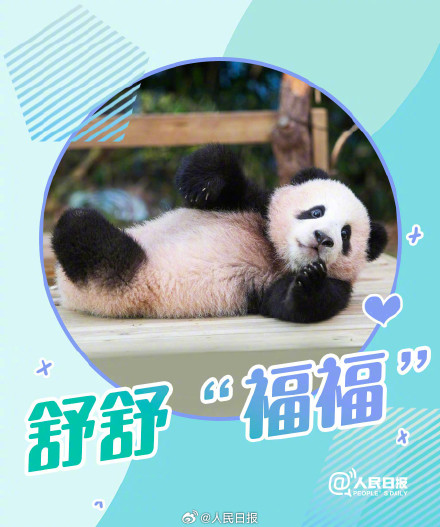 福宝,生日快乐! 福宝,生日快乐!