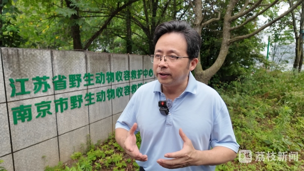 跨城接力!为了守护东方白鹳重返自然 跨城接力!为了守护东方白鹳重返自然