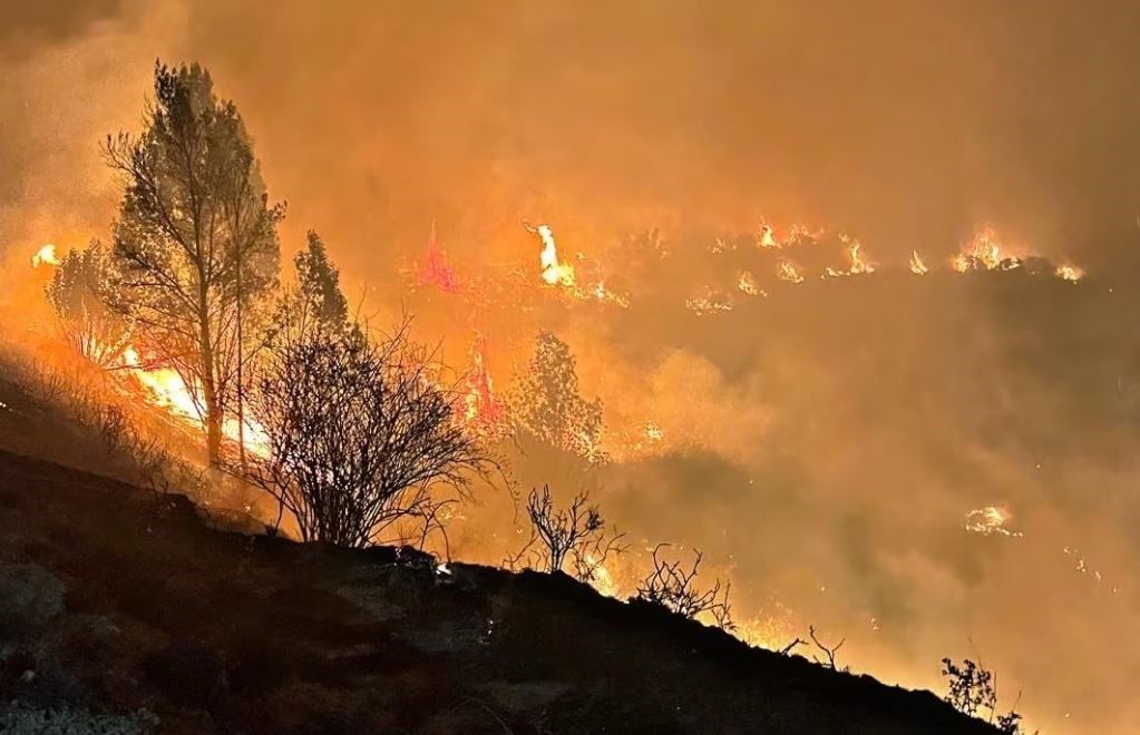 西班牙中部遭遇大规模山火 过火面积达2.6万公顷 西班牙中部遭遇大规模山火 过火面积达2.6万公顷