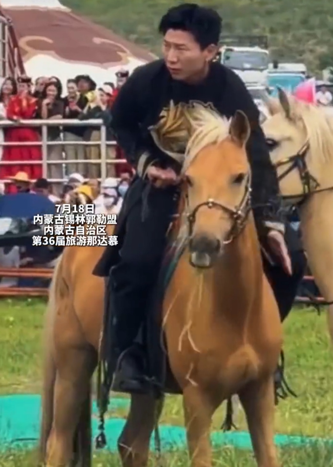 开幕式上一马匹受惊,演员阿如那温柔安抚戳中网友 开幕式上一马匹受惊,演员阿如那温柔安抚戳中网友