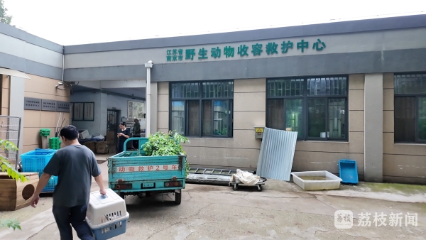 跨城接力!为了守护东方白鹳重返自然 跨城接力!为了守护东方白鹳重返自然