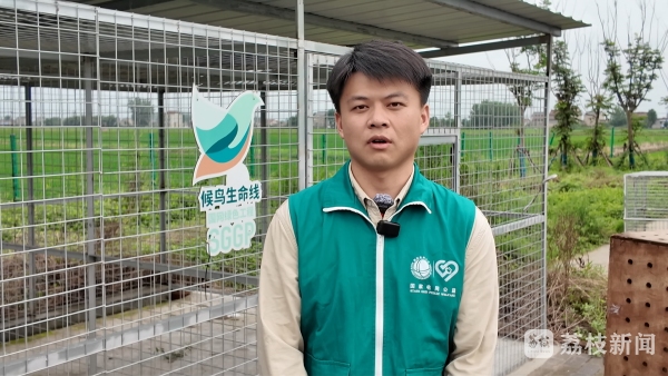 跨城接力!为了守护东方白鹳重返自然 跨城接力!为了守护东方白鹳重返自然