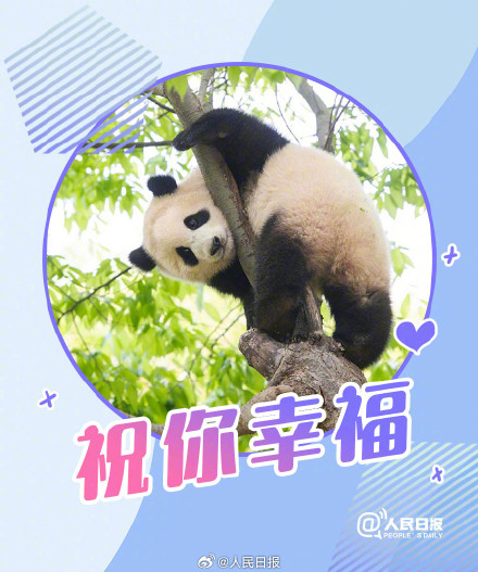 福宝,生日快乐! 福宝,生日快乐!