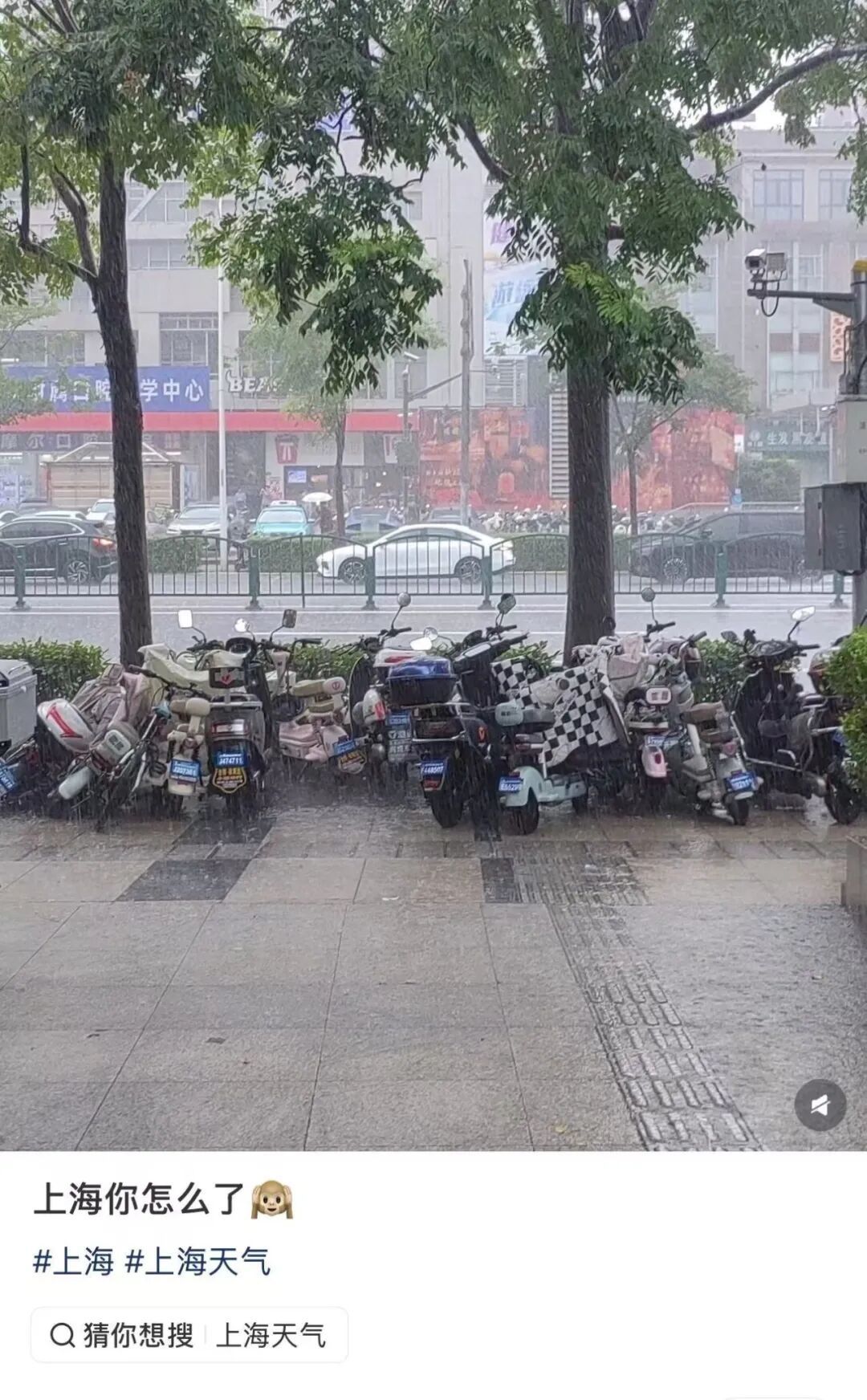 今天全上海人在“接龙”,暴雨下到哪个区了?冰雹、彩虹、闪电…正同时上演! 今天全上海人在“接龙”,暴雨下到哪个区了?冰雹、彩虹、闪电…正同时上演!