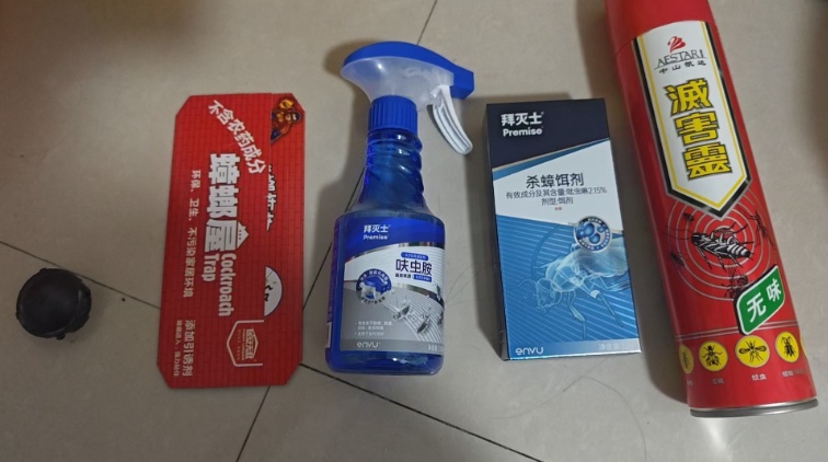 防治无效?西安一小区蟑螂泛滥、越杀越多!专家:这是“楼宇病” 防治无效?西安一小区蟑螂泛滥、越杀越多!专家:这是“楼宇病”