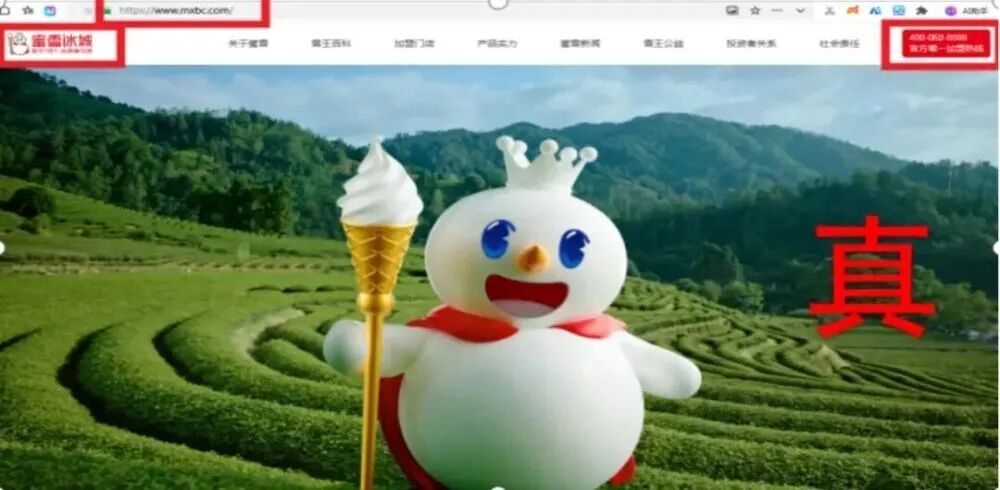 仿冒假冒人社部、雄安新区、蜜雪冰城网站等,759个网站被处置 仿冒假冒人社部、雄安新区、蜜雪冰城网站等,759个网站被处置