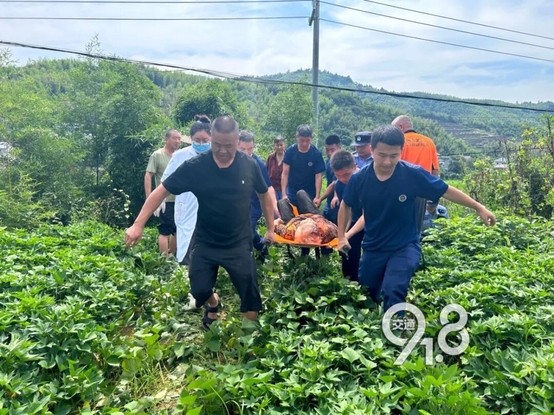 杭州八旬老人走失野外!热到窒息的竹林深处,一声 “找到了”,所有人悬着的心落地了 杭州八旬老人走失野外!热到窒息的竹林深处,一声 “找到了”,所有人悬着的心落地了