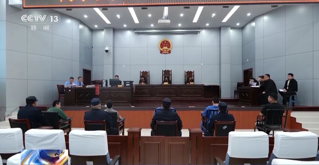 故意伤害犬只拍“卖惨”画面,流浪动物救助骗局起底 故意伤害犬只拍“卖惨”画面,流浪动物救助骗局起底