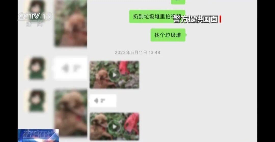 骗250万善款仅3000元用在狗身上 央视曝光救助流浪狗直播骗局 骗250万善款仅3000元用在狗身上 央视曝光救助流浪狗直播骗局