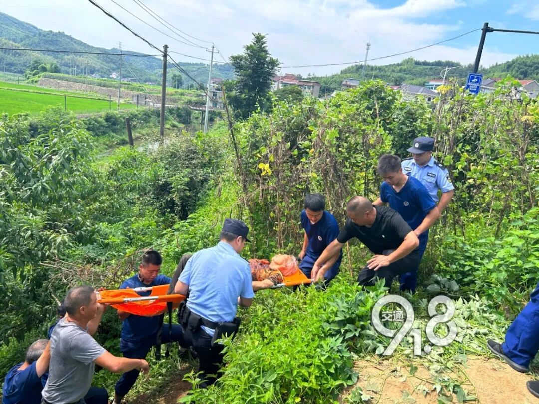 杭州八旬老人走失野外!热到窒息的竹林深处,一声 “找到了”,所有人悬着的心落地了 杭州八旬老人走失野外!热到窒息的竹林深处,一声 “找到了”,所有人悬着的心落地了