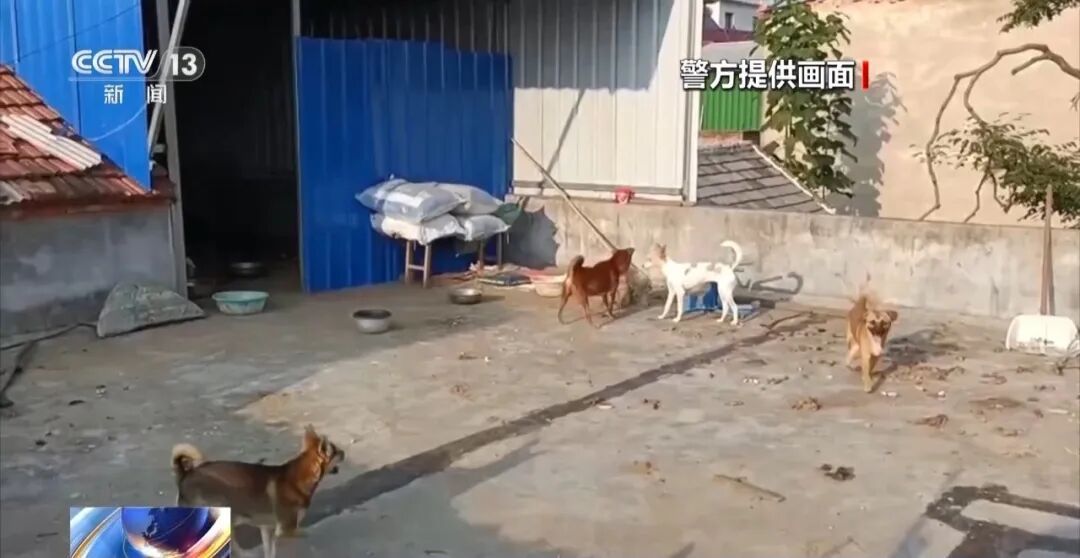 诈骗团伙通过虐狗、摆拍炮制救助剧本,骗取1500多人250余万元→ 诈骗团伙通过虐狗、摆拍炮制救助剧本,骗取1500多人250余万元→