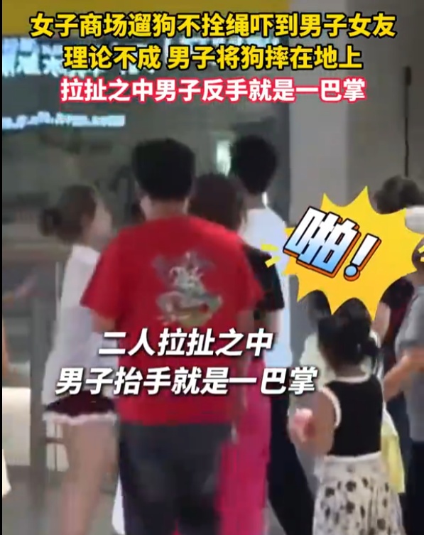 女子商场遛狗不拴绳引发冲突，遭一男子摔狗并扇耳光，律师：双方都违法！