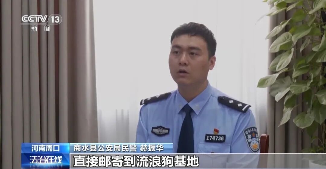 骗250万善款仅3000元用在狗身上 央视曝光救助流浪狗直播骗局 骗250万善款仅3000元用在狗身上 央视曝光救助流浪狗直播骗局