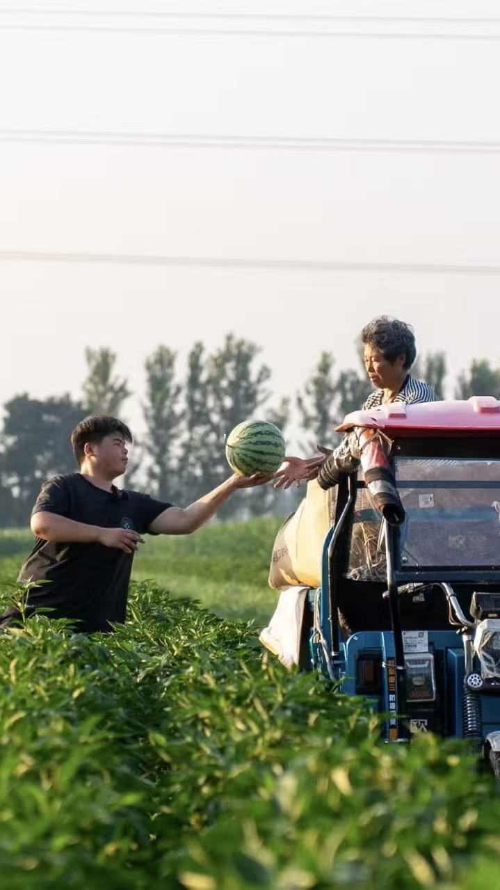 一车瓜仅卖了186元,河南15岁小“瓜农”:我现在生活很好,以后赚大钱让奶奶享福 一车瓜仅卖了186元,河南15岁小“瓜农”:我现在生活很好,以后赚大钱让奶奶享福