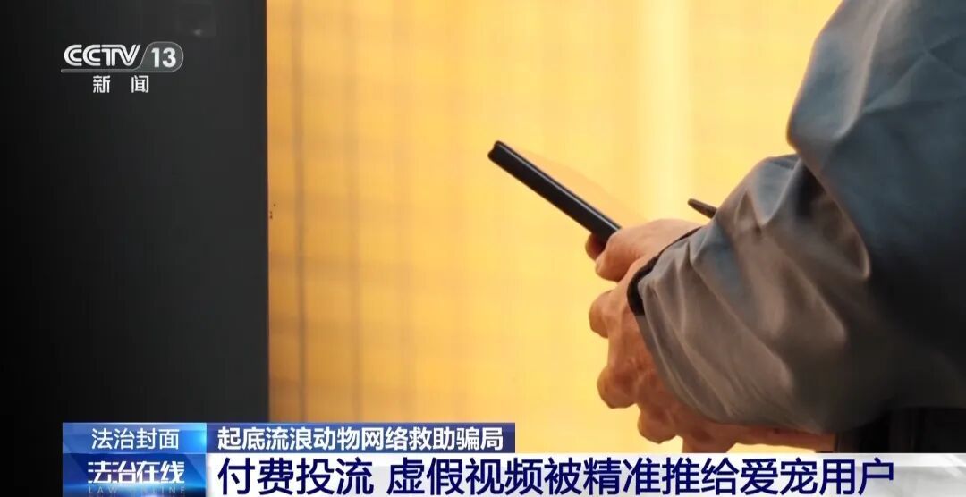 故意伤害犬只拍“卖惨”画面,流浪动物救助骗局起底 故意伤害犬只拍“卖惨”画面,流浪动物救助骗局起底