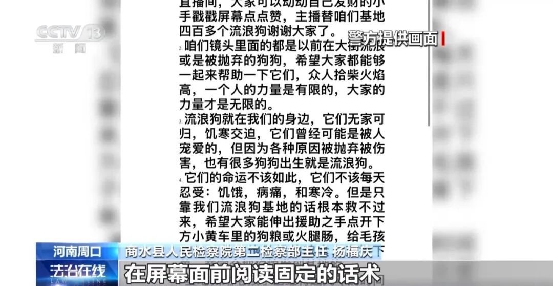 故意伤害犬只拍“卖惨”画面,流浪动物救助骗局起底 故意伤害犬只拍“卖惨”画面,流浪动物救助骗局起底
