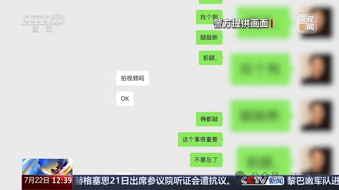 诈骗团伙通过虐狗、摆拍炮制救助剧本骗取250余万元,只给动物花了3000多元 诈骗团伙通过虐狗、摆拍炮制救助剧本骗取250余万元,只给动物花了3000多元