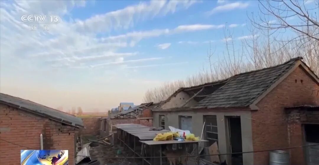 故意伤害犬只拍“卖惨”画面,流浪动物救助骗局起底 故意伤害犬只拍“卖惨”画面,流浪动物救助骗局起底