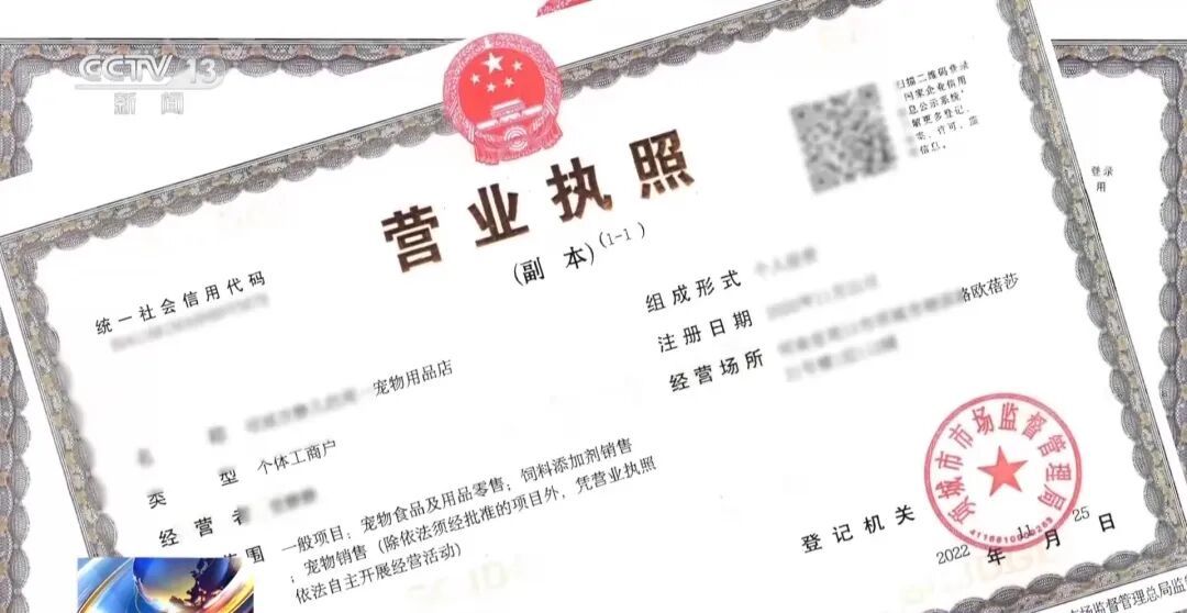 故意伤害犬只拍“卖惨”画面,流浪动物救助骗局起底 故意伤害犬只拍“卖惨”画面,流浪动物救助骗局起底