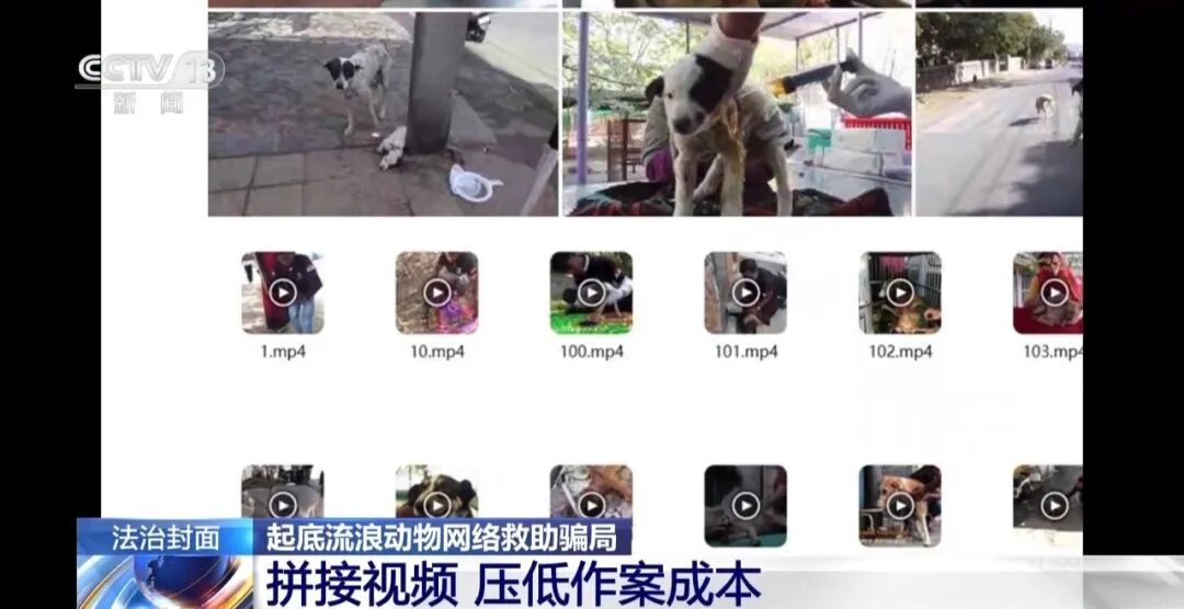 诈骗团伙通过虐狗、摆拍炮制救助剧本,骗取1500多人250余万元→ 诈骗团伙通过虐狗、摆拍炮制救助剧本,骗取1500多人250余万元→