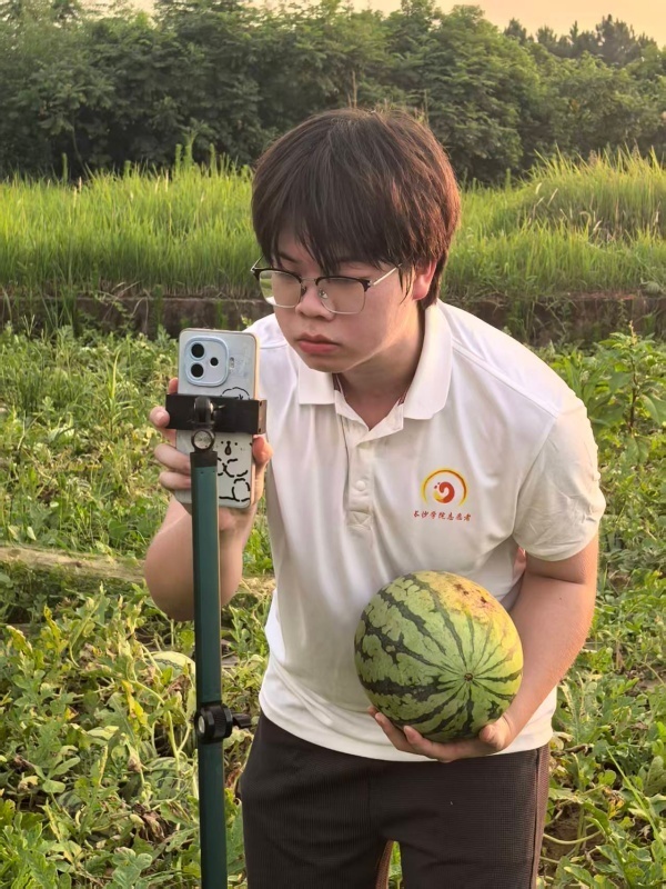 沁甜!帮13岁脑瘫少年家卖西瓜,这群大学生走进瓜田开麦直播 沁甜!帮13岁脑瘫少年家卖西瓜,这群大学生走进瓜田开麦直播