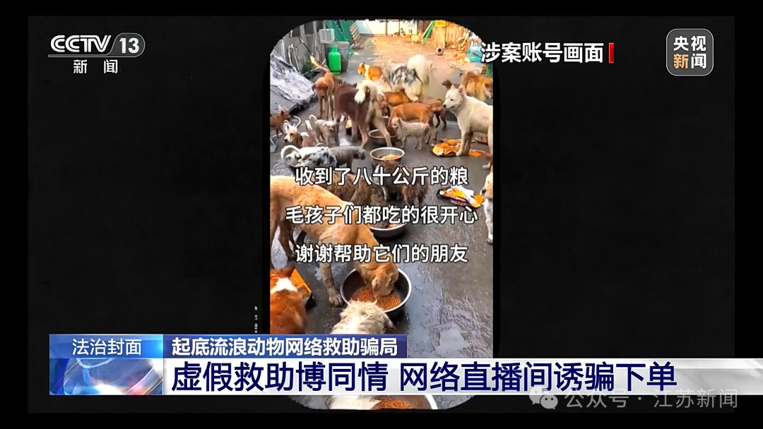 诈骗团伙通过虐狗、摆拍炮制救助剧本骗取250余万元,只给动物花了3000多元 诈骗团伙通过虐狗、摆拍炮制救助剧本骗取250余万元,只给动物花了3000多元