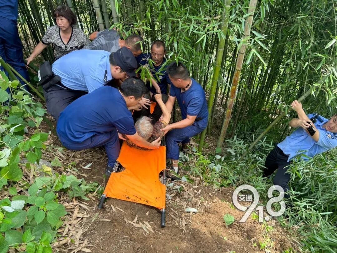 杭州八旬老人走失野外!热到窒息的竹林深处,一声 “找到了”,所有人悬着的心落地了 杭州八旬老人走失野外!热到窒息的竹林深处,一声 “找到了”,所有人悬着的心落地了