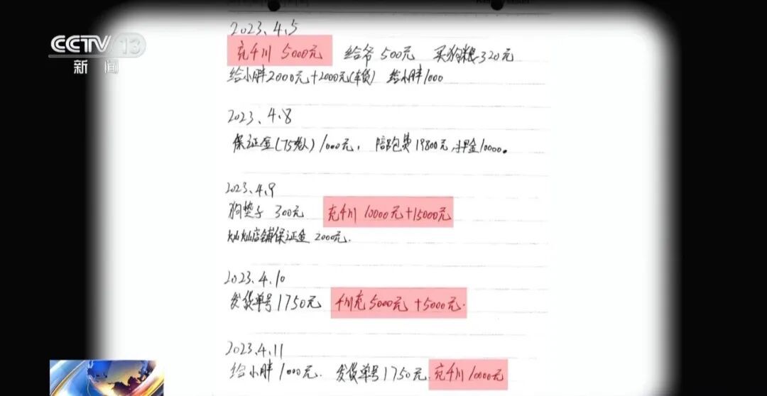 骗250万善款仅3000元用在狗身上 央视曝光救助流浪狗直播骗局 骗250万善款仅3000元用在狗身上 央视曝光救助流浪狗直播骗局